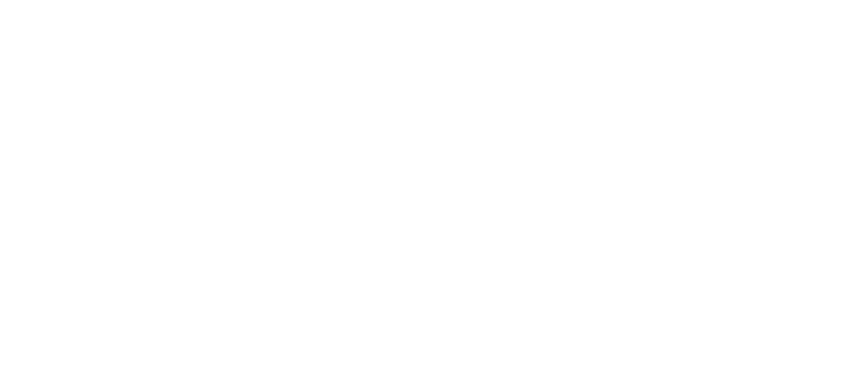 Bizim Usta Car Service